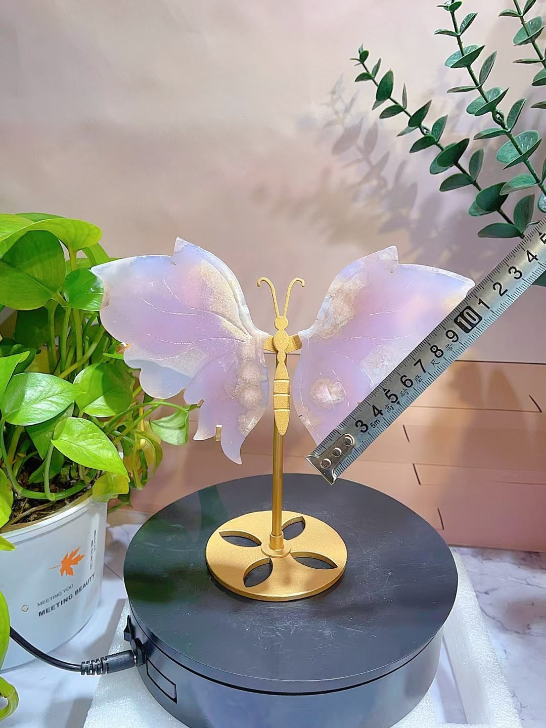 Aurora Gem Butterfly